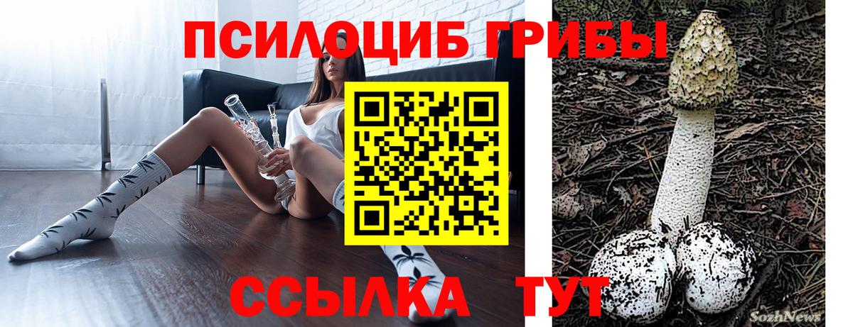 Гусиноозёрск  Галлюциногенные грибы Psilocybine cubensis  Вход с VPN  Галлюциногенные грибы ЛСД 