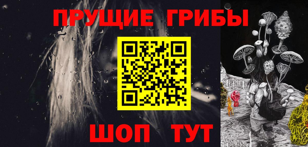 Псилоцибиновые грибы Psilocybe Гусиноозёрск